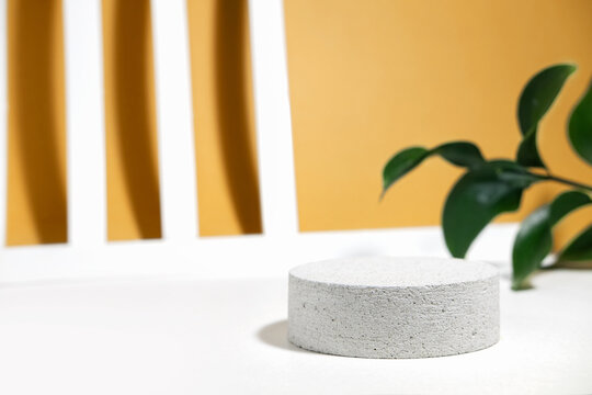 Cylindrical stone concrete eco podium on white beige background with colorful risk leaves, hard shadows in the sun, geomntric lines with shadows. Minimal empty cosmetic product presentation scene.
