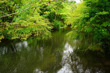 Landscape of Kinrin Lake in Yufuin, Oita, Japan - 日本 大分県 湯布院 金鱗湖	