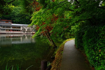 Fototapeta premium Landscape of Kinrin Lake in Yufuin, Oita, Japan - 日本 大分県 湯布院 金鱗湖 
