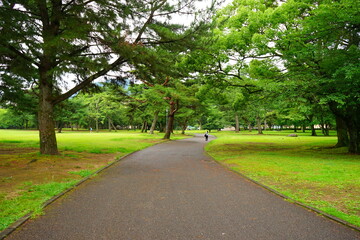 Fototapeta na wymiar Beppu Park in Oita, Kyushu, Japan - 日本 九州 大分 別府公園