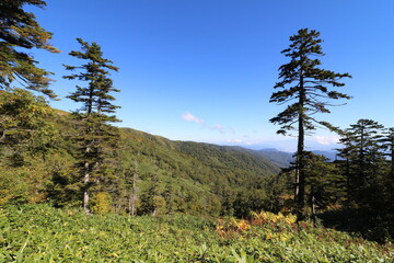 新潟県湯沢の苗場山の登山