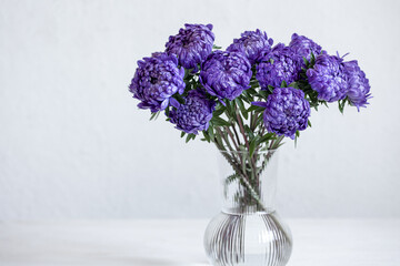 Glass vase with a bouquet of blue chrysanthemums on light background.