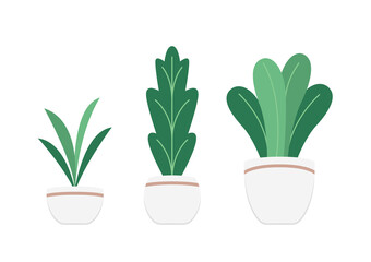 Plants in pot vector. Plants in pot icon vector on white background.