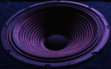 Close-up of speaker membrane on black background.