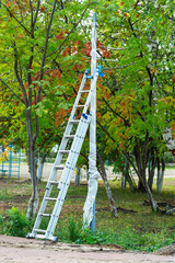 An aluminum ladder leaning against a lighting pole in the park. Installation of street lighting