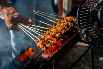 Chicken satay on traditional charcoal fire. satay on fire with smoke and an appetizing look. hands...