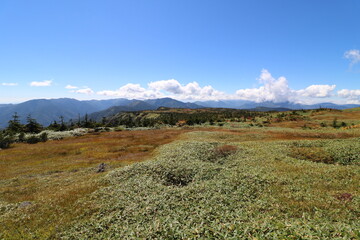 新潟県湯沢の苗場山の登山