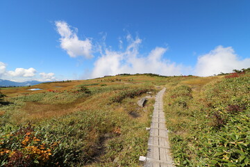 新潟県湯沢の苗場山の登山