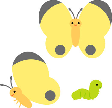 青虫 の画像 555 件の Stock 写真 ベクターおよびビデオ Adobe Stock