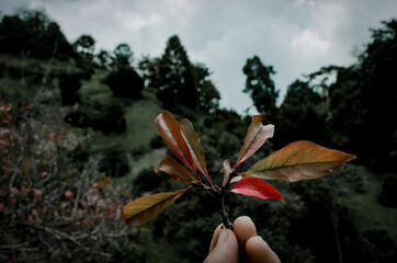 
The green nature that looks fresh when you look at it
