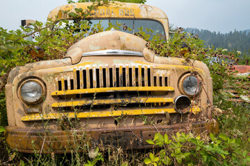 The front of an antique school bus in a junkyard in Idaho, USA