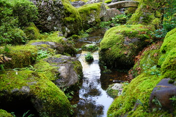 那谷寺の日本庭園の苔むした石とせせらぎ