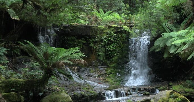 Left to right panning motion with sound of Horseshoe Falls which is a small waterfall upstream from the famous Russell Falls, with a tiered cascade amid rocks and ferns at Mount Field National Park
