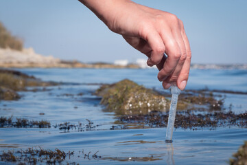 Sea water pollution concept. The scientist is taking  water sample of sea water close up concept.