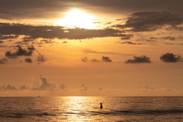 Naklejka na ściany i meble surfer waiting for the waves at sunset very beautiful orange light