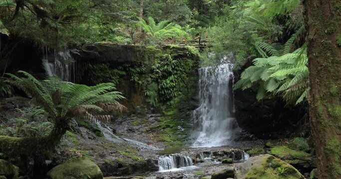 Locked off motion of Horseshoe Falls which is a small waterfall upstream from the famous Russell Falls, with a tiered cascade amid rocks, ferns and fores at Mount Field National Park,Tasmania