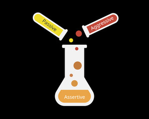 the assertiveness which is combines of aggressive and passive