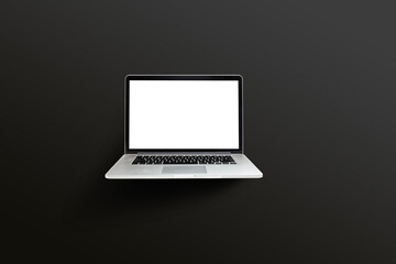 Front view of modern laptop with blank screen, aluminum body material.
