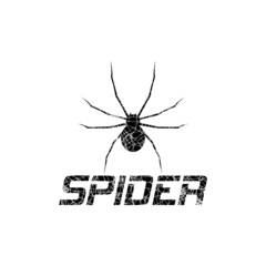 Spider glyph icon isolated on white background