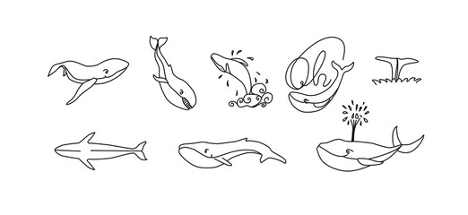 Whales sketch set. Whales vector hand drawn.
