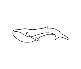 Fototapeta premium Whale sketch. Whale vector hand drawn.