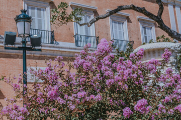 Fototapeta na wymiar gardens of the royal palace of aranjuez, madrid, spain, europe