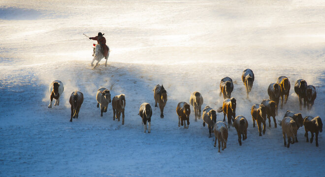 herd of runing horses and herdsman
