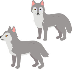 正面を向いたオオカミと横向きのオオカミ