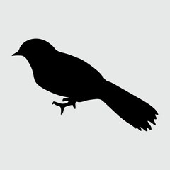Bird Silhouette, Bird Isolated On White Background
