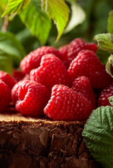 Fresh juicy raspberries with leaves.