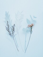 Soft and delicate pastel botanicals