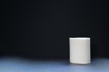 トイレットペーパー / 1 toilet paper