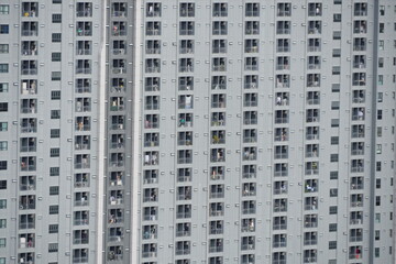 Fototapeta premium P1400833