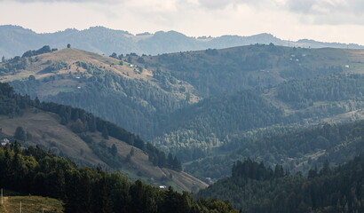Naklejka premium mountain slopes in the Ukrainian Carpathians. mountain tops and forests on a background of blue sky
