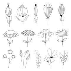 Botanical collection of floral and herbal elements single continuous black line for cards, invitations, logo, prints, sketch.