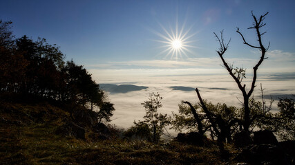 Sunrise in the alps over clouds and fog