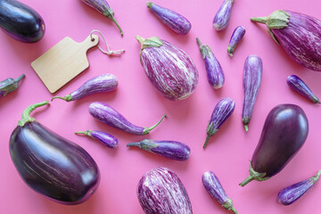 Different varieties of eggplant and cutting board on pink background