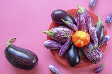 Vegetables. Bell pepper and different eggplants in red plate on pink background. Healthy and vegetarian food concepts. Free space for text