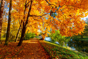Catherine park in autumn, Tsarskoe Selo (Pushkin), St. Petersburg, Russia
