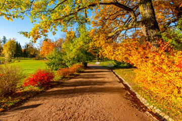 Fototapeta na wymiar Catherine park in autumn, Tsarskoe Selo (Pushkin), St. Petersburg, Russia
