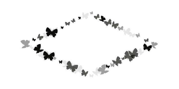 Exotic black butterflies abstract vector background. Summer pretty insects. Wild butterflies abstract girly wallpaper. Sensitive wings moths graphic design. Garden creatures.