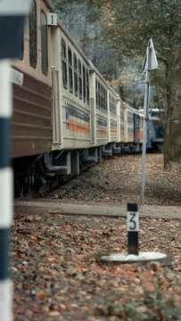 Train, Train in the forest, lonely train, lonely train in the forest, autumn train, children's train, children's railway