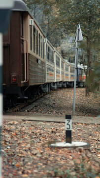 Train, Train in the forest, lonely train, lonely train in the forest, autumn train, children's train, children's railway