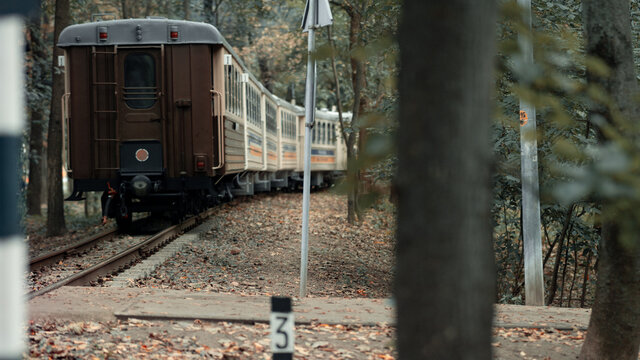 Train, Train in the forest, lonely train, lonely train in the forest, autumn train, children's train, children's railway