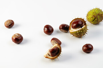 autumn fruits of chestnuts on a white background