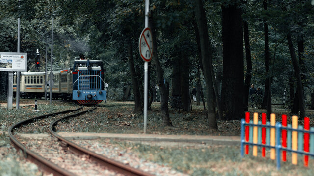 Train, Train in the forest, lonely train, lonely train in the forest, autumn train, children's train, children's railway
