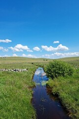 landscape with river and blue sky