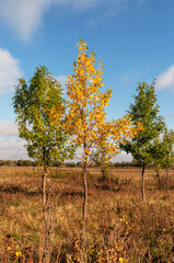 autumn in the mountains