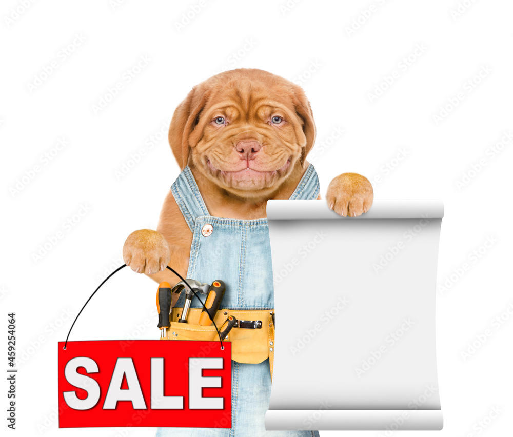 Poster Funny mastiff puppy worker wearing tool belt and overalls holds sales symbol and empty list. Isolated on white background