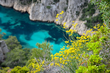 Obraz na płótnie Canvas Calanque d'en Vau. Turquoise color of the Mediterranean Sea. Marseille